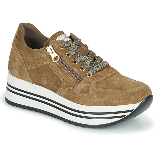 Shoes Women Low top trainers NeroGiardini MALTO Cognac