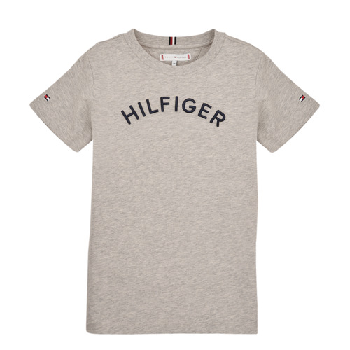 Clothing Children Short-sleeved t-shirts Tommy Hilfiger U HILFIGER ARCHED TEE Grey