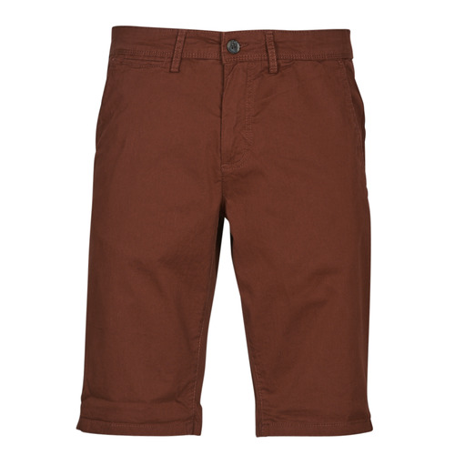 Clothing Men Shorts / Bermudas Teddy Smith SHORT CHINO Brown