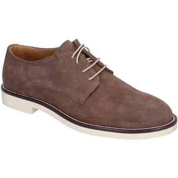 Shoes Men Derby Shoes & Brogues Bruno Verri BC286 Brown