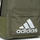 Bags Children Rucksacks adidas Performance Classic Badge of Sport Backpack Green