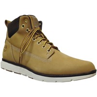 Obuća Muškarci
 Polučizme Timberland Killington chukka a191l žuta