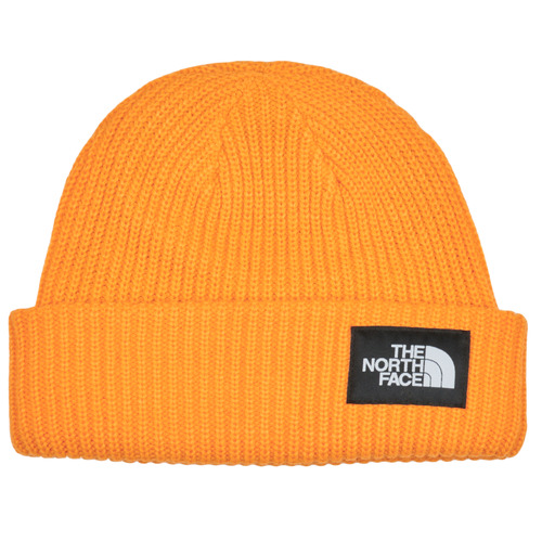 Tekstilni dodaci Kape The North Face SALTY LINED BEANIE žuta