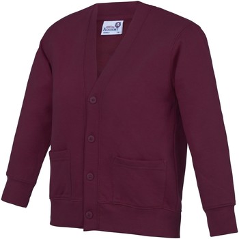 Vêtements Enfant Gilets / Cardigans Awdis Academy Rouge