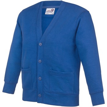 Vêtements Enfant Gilets / Cardigans Awdis Academy Bleu