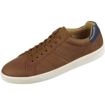 Chaussures Homme Baskets mode Pius Gabor  Marron