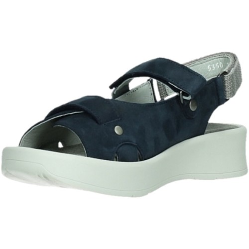 Chaussures Femme Sandales et Nu-pieds Wolky  Bleu