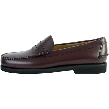 Chaussures Homme Derbies & Richelieu Sebago Derby Cuir Dan Polaris Marron