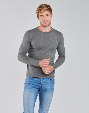 Vêtements Homme Pulls BOTD OLDMAN Gris