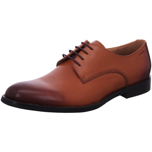 Chaussures Homme Derbies & Richelieu Digel  Marron