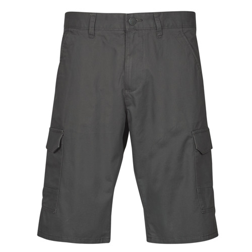 Vêtements Homme Shorts / Bermudas Esprit OCS N Cargo SH Gris