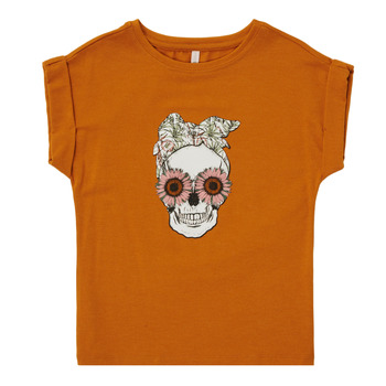 Vêtements Fille T-shirts manches courtes Only KONSNI SKULL Orange