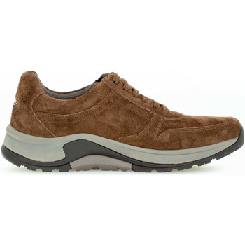 Chaussures Homme Baskets mode Pius Gabor 8000.13.04 Marron