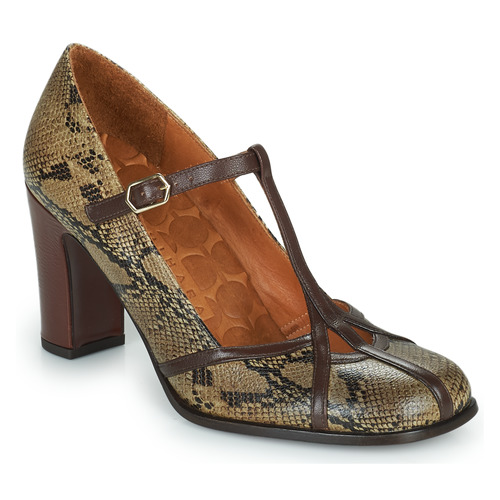 Chaussures Femme Escarpins Chie Mihara FATMA Python / Marron