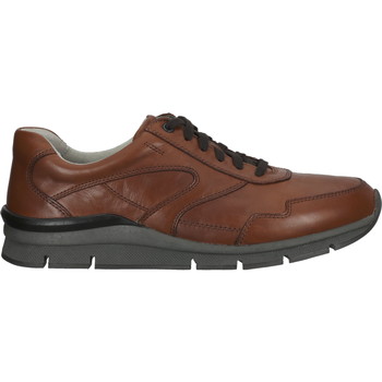 Chaussures Homme Baskets basses Pius Gabor Sneaker Marron