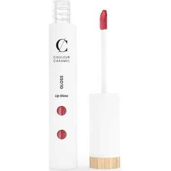 Beauté Femme Maquillage lèvres Couleur Caramel Gloss 9Ml 901 Bois de Rose Autres