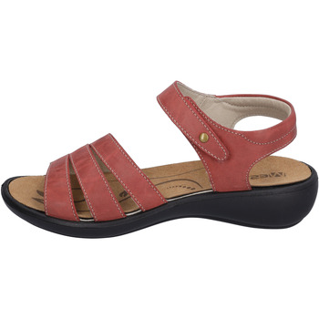 Chaussures Femme Sandales et Nu-pieds Westland Ibiza 111, hibiscus Violet