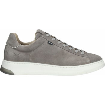 Chaussures Homme Baskets basses Sansibar Sneaker Gris