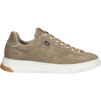 Chaussures Homme Baskets basses Sansibar Sneaker Beige