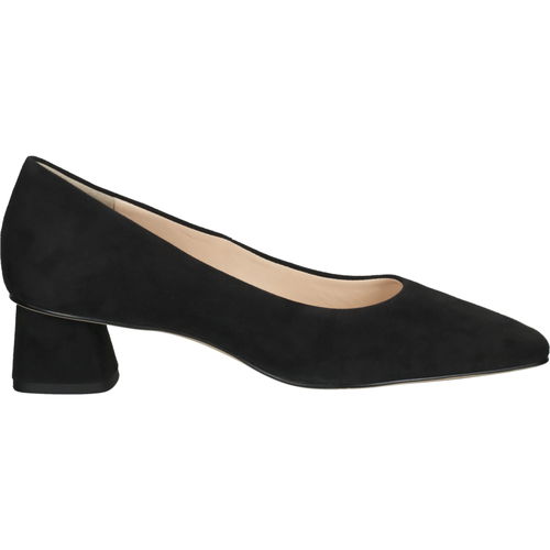 Chaussures Femme Escarpins Högl Escarpins Noir