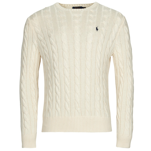 Vêtements Homme Pulls Polo Ralph Lauren LS DRIVER CN-LONG SLEEVE-SWEATER Ecru