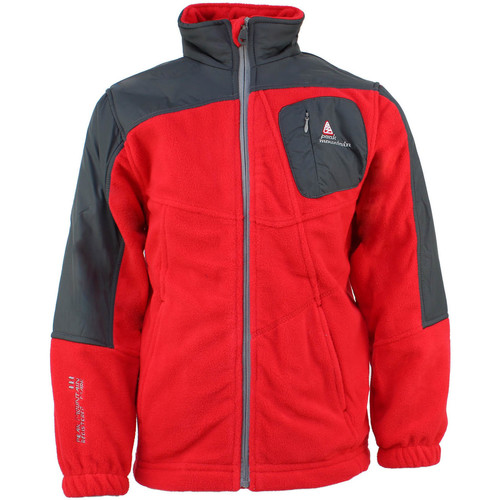 Vêtements Garçon Polaires Peak Mountain Blouson polaire garçon ECELIK Rouge