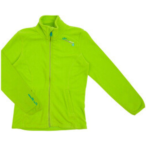 Vêtements Fille Polaires Peak Mountain Blouson polaire fille FADARA Vert