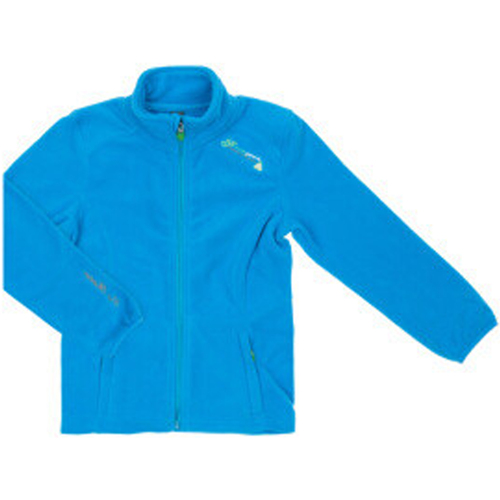 Vêtements Fille Polaires Peak Mountain Blouson polaire fille FADARA Bleu