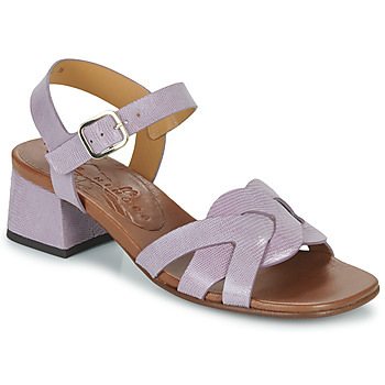 Chaussures Femme Sandales et Nu-pieds Chie Mihara QUAURA Violet