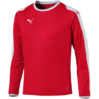 Vêtements Garçon T-shirts & Polos Puma 703421-01 Rouge