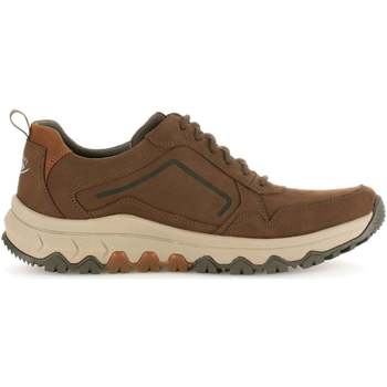 Chaussures Homme Baskets mode Pius Gabor 8005.10.03 Marron