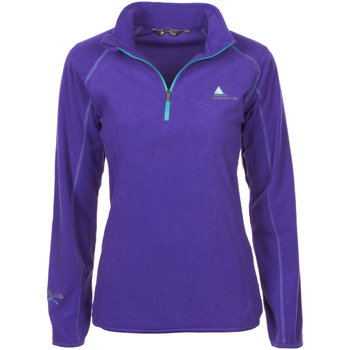 Vêtements Fille Polaires Peak Mountain Sweat polaire fille FAFINE Violet