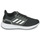 Chaussures Femme Running / trail adidas Performance EQ19 RUN W Noir / Blanc