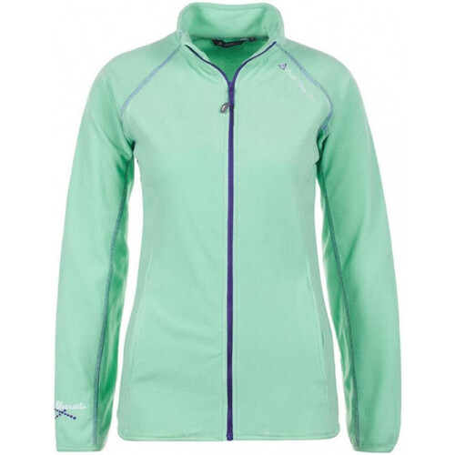 Vêtements Femme Polaires Peak Mountain Blouson polaire femme AFONE Vert