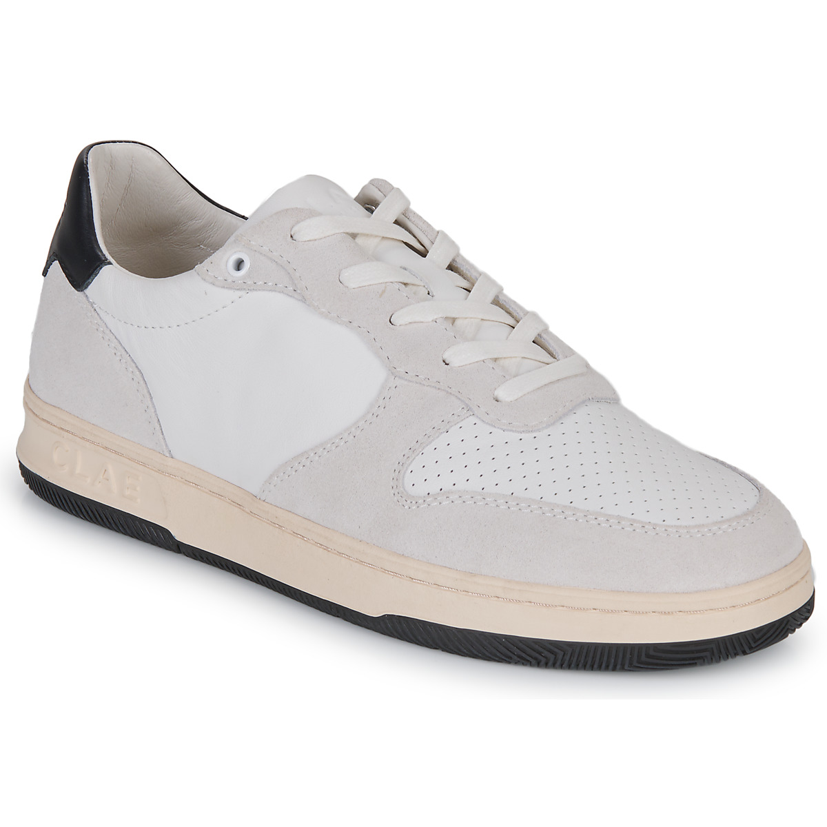 Chaussures Homme Baskets basses Clae MALONE Blanc / Noir