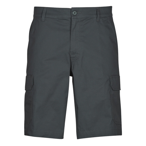 Vêtements Homme Shorts / Bermudas Columbia RAPID RIVERS SHORT Gris