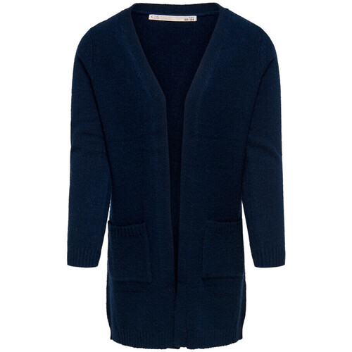 Vêtements Fille Gilets / Cardigans Kids Only 15207308 Bleu