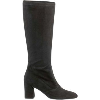 Chaussures Femme Bottines Högl Black Boots Noir