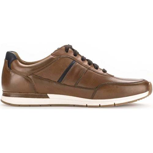 Chaussures Homme Baskets mode Pius Gabor 1047.10.02 Marron