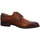 Chaussures Homme Derbies & Richelieu Digel  Marron