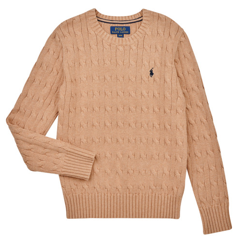 Vêtements Enfant Pulls Polo Ralph Lauren LS CABLE CN-TOPS-SWEATER Beige