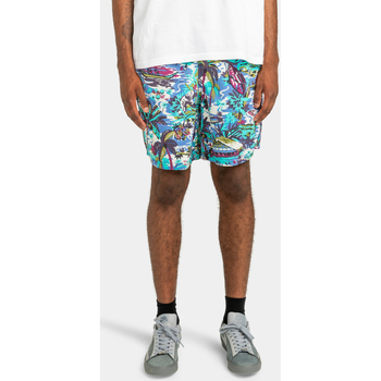 Vêtements Homme Shorts / Bermudas Element Chillin Hybrid Bleu