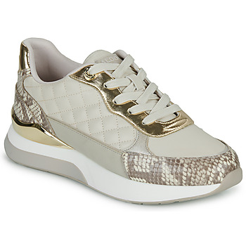 Chaussures Femme Baskets basses Aldo COSMICSTEP Gris