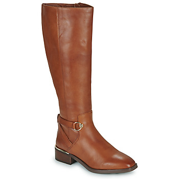 Chaussures Femme Bottes ville Aldo ETERIMMA Marron