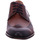 Chaussures Homme Derbies & Richelieu Digel  Marron