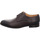 Chaussures Homme Derbies & Richelieu Digel  Marron