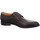 Chaussures Homme Derbies & Richelieu Digel  Marron