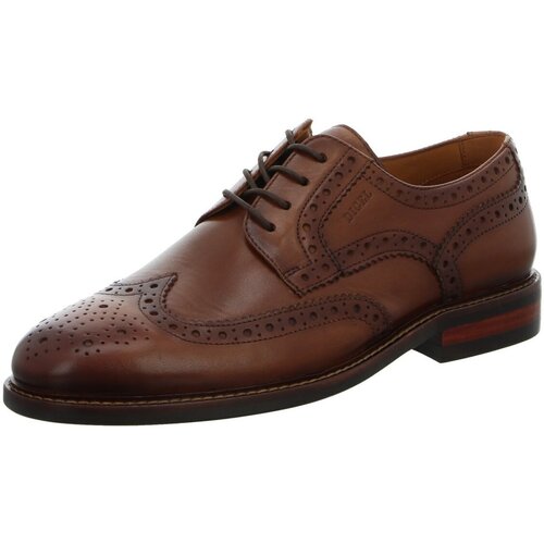 Chaussures Homme Derbies & Richelieu Digel  Marron