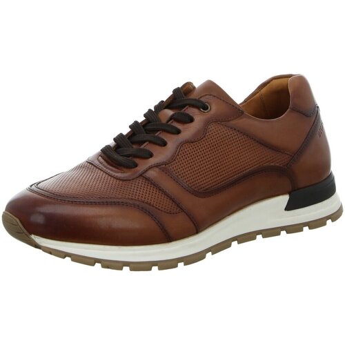 Chaussures Homme Derbies & Richelieu Digel  Marron