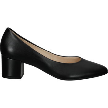 Chaussures Femme Escarpins Högl Escarpins Noir